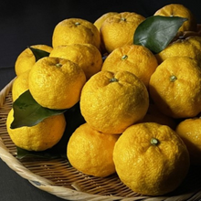 画像をギャラリービューアに読み込む, 料亭の「食べるポン酢」