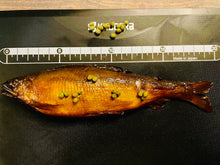 画像をギャラリービューアに読み込む, 山椒子持ち鮎(あっさり甘露煮)<クール便商品>